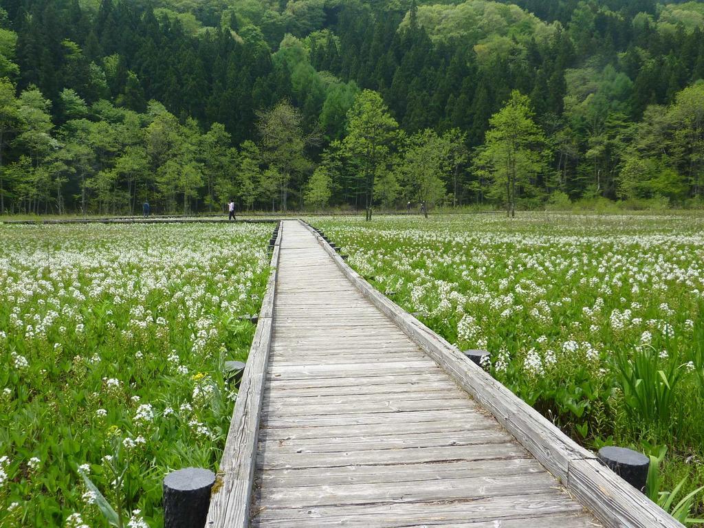 Pension Ciel Hakuba Buitenkant foto